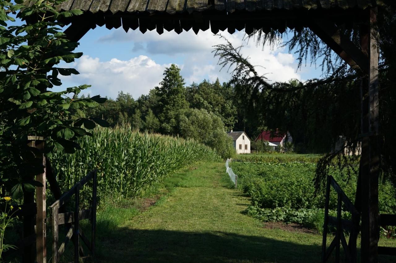 Фермерские дома Gospodarstwo agroturystyczne Biebrzanska Goscina Karczewo-9